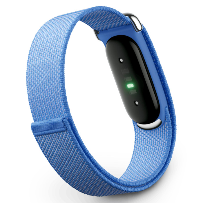 Фитнес-браслет Google Fitbit Air Лавандовый (Lavender)