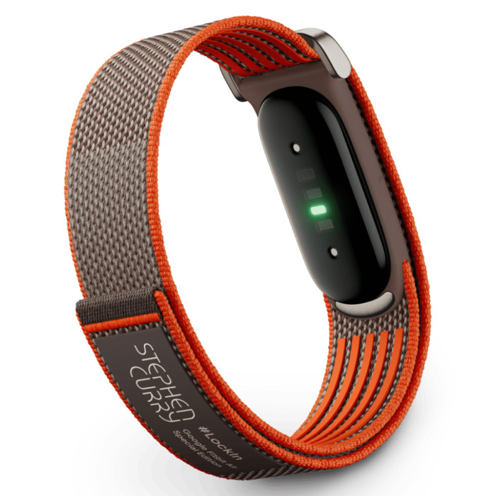 Фитнес-браслет Google Fitbit Air Rye