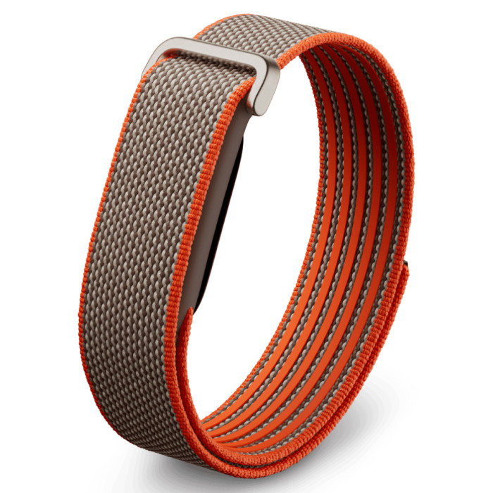Фитнес-браслет Google Fitbit Air Rye
