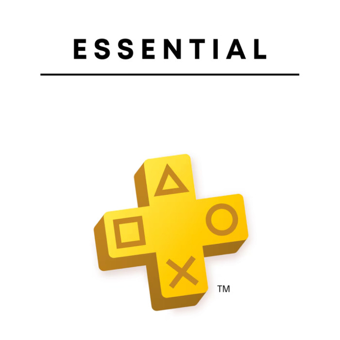 Оформление подписки PlayStation Plus Essential 1 месяц Турция
