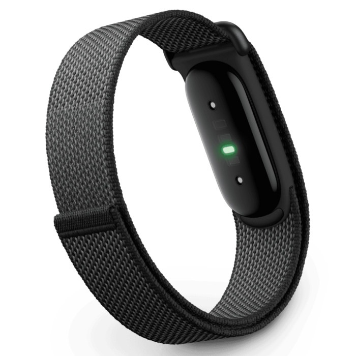 Фитнес-браслет Google Fitbit Air Черный (Obsidian)