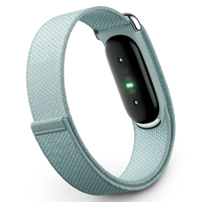 Фитнес-браслет Google Fitbit Air Туманный (Fog)
