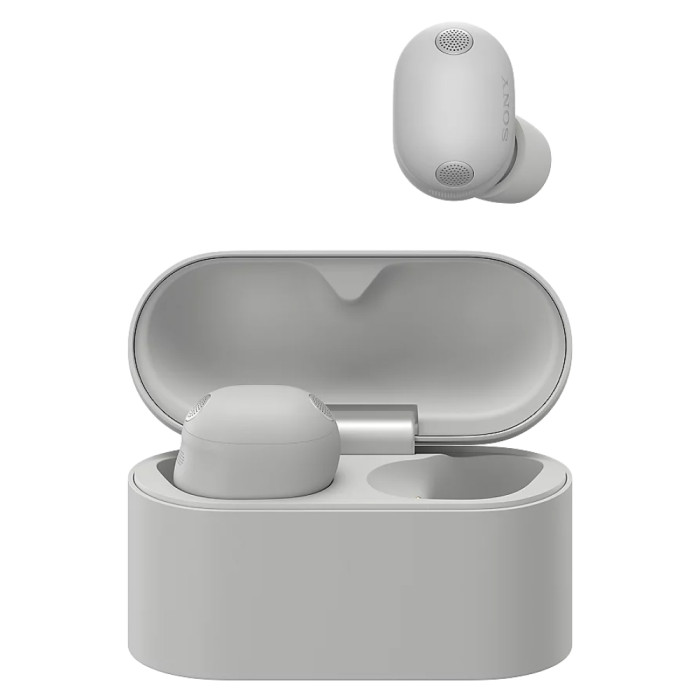 Беспроводные наушники Sony WF-1000XM6 Серебро (Platinum Silver)