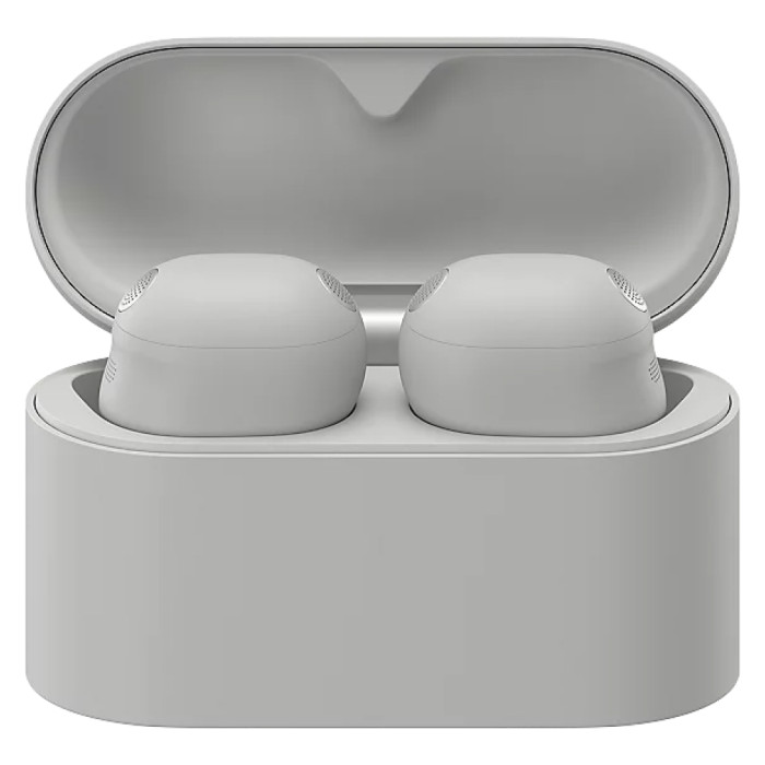 Беспроводные наушники Sony WF-1000XM6 Серебро (Platinum Silver)
