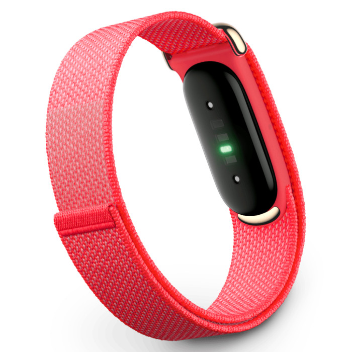 Фитнес-браслет Google Fitbit Air Ягодный (Berry) | Фото 3 из 3