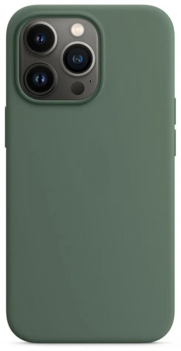 Чехол Silicone Case with Magsafe для iPhone 13 Pro Зеленый (Eucalyptus) | Фото 1 из 2